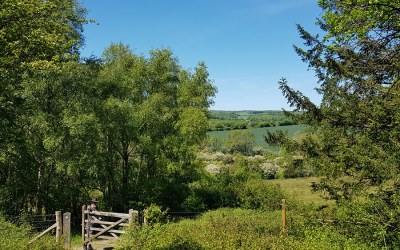 5 great benefits of spending time in nature